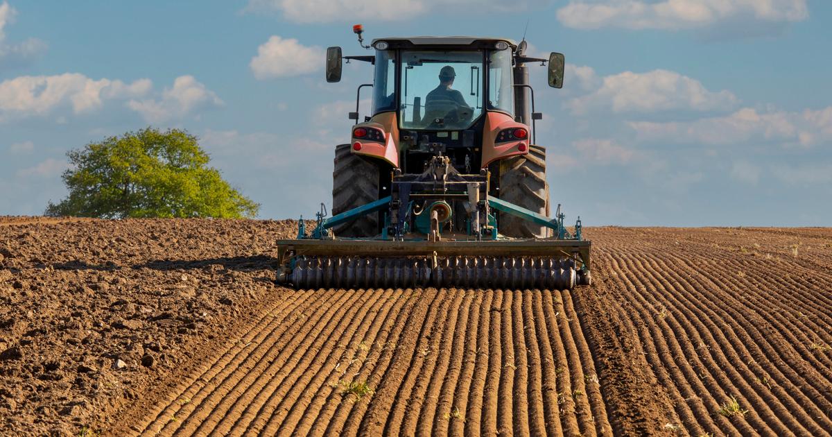 Agriculture : 2024 a été une année terrible pour la France, confirme l’Insee