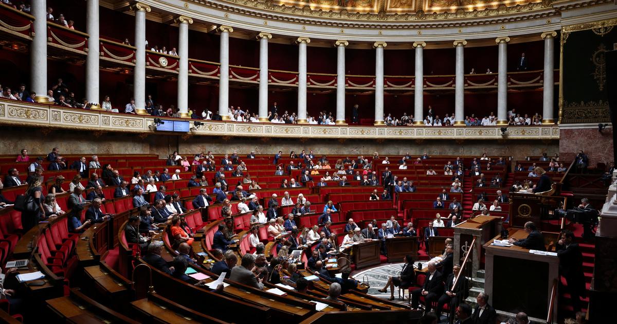 Mode de scrutin, audiovisuel public, agriculture: au Parlement, une dernière semaine aux allures de sprint final avant les vacances
