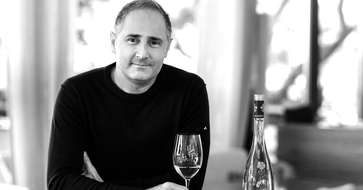 «Mon père s’est employé à faire mentir la caricature du “petit rosé” de l’été» : les Fayard, une histoire provençale depuis 1977