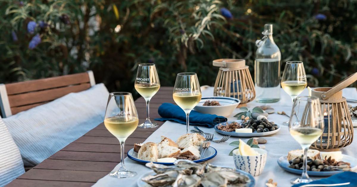 Dans le vignoble nantais, comment le muscadet veut monter en gamme