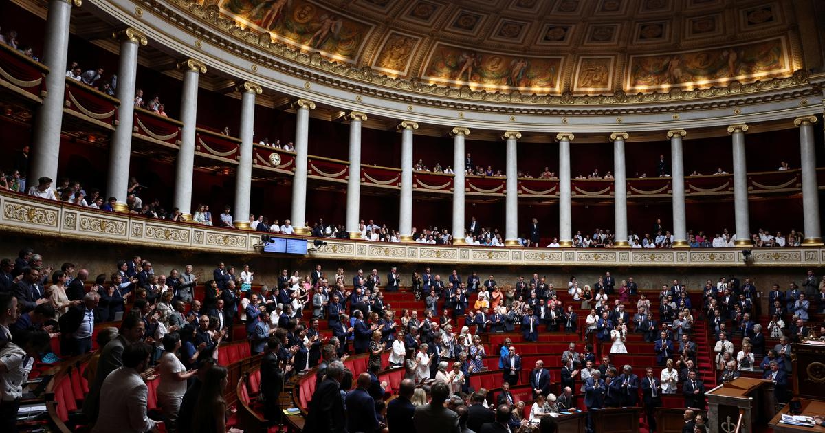 Environnement : le Parlement adopte la loi Duplomb et enchaîne avec le texte Gremillet