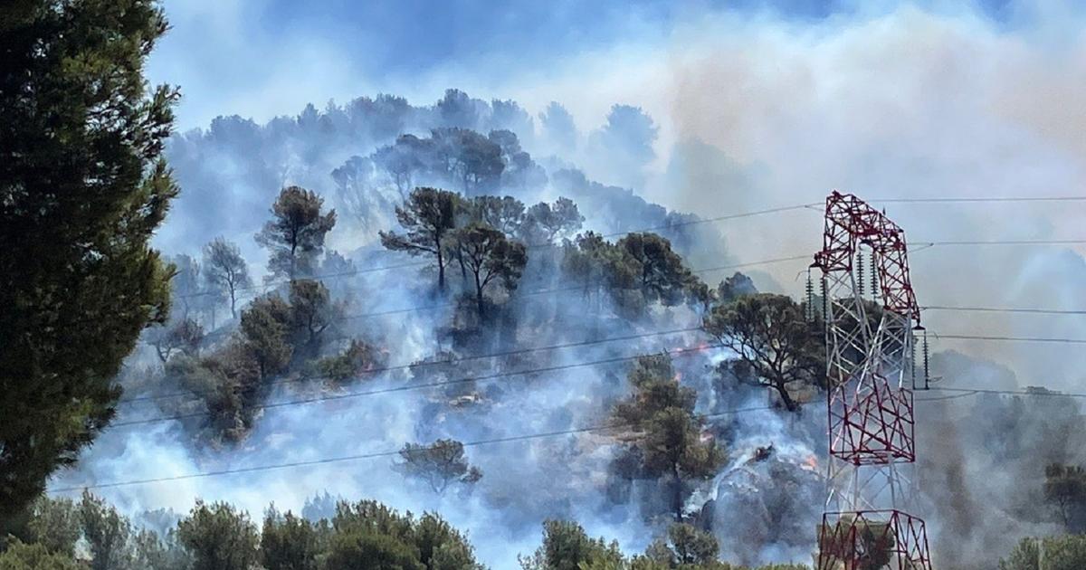 « Je n’ai jamais vu ça ici » : le récit d’une lutte acharnée contre un incendie historique aux portes de Marseille