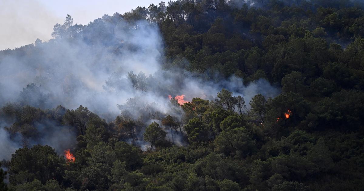 Chaleur, canicule, incendies… À quoi doit-on s’attendre cet été ?