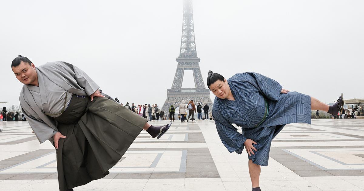 Public vieillissant, pratiques d’un autre âge... Pour durer, le sumo s’exporte en dehors du Japon