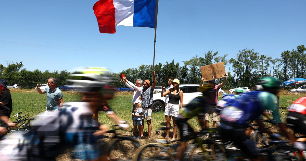 «On est dans les starting-blocks» : comment les vignerons de Chinon se préparent à accueillir le Tour de France