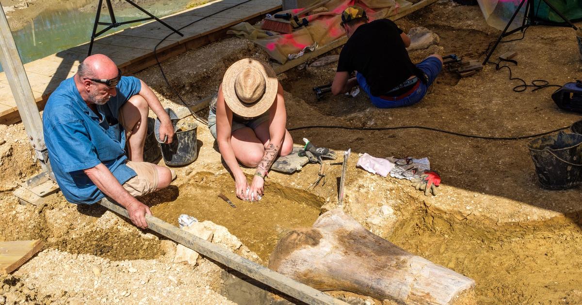 Angeac-Charente、400人の魂、巨大な恐竜墓地