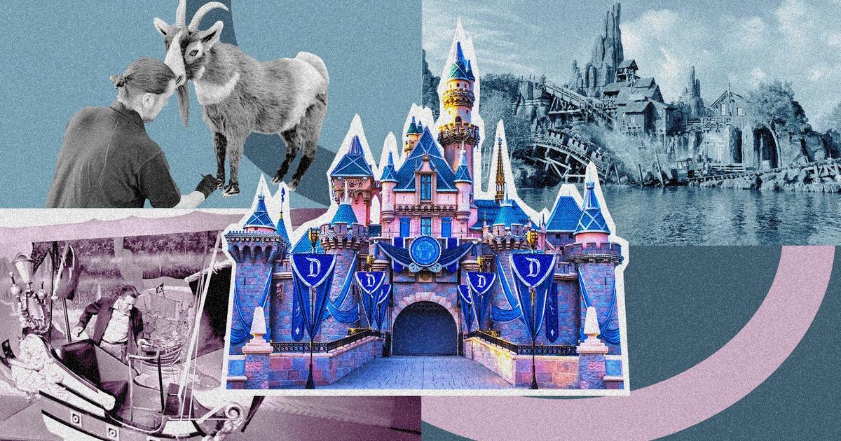 Décors immersifs, histoires, innovations... Comment Disneyland veut rester le roi des parcs d’attractions