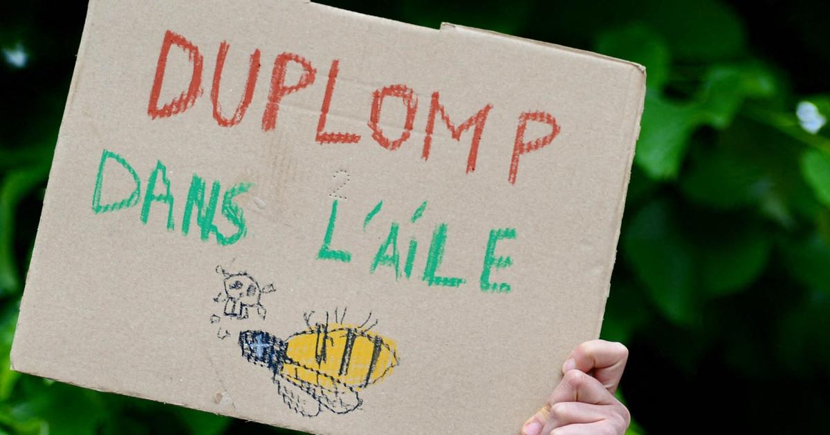 Plusieurs centaines de restaurateurs appellent au retrait de la loi Duplomb