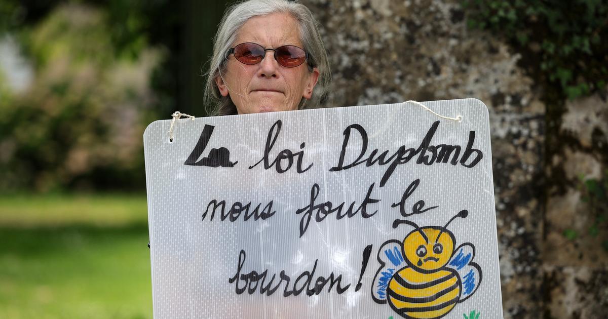 «C’est la peur qui me pousse à réagir» : le cri d’alerte d’une fille d’agriculteurs contre les opposants à la loi Duplomb