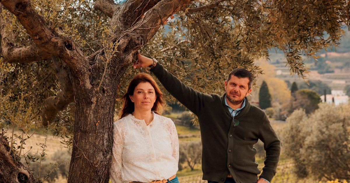 Au domaine du Bagnol, une histoire de citadins devenus «amoureux» de Cassis