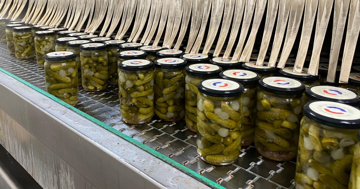 Dans les coulisses de la bataille pour relancer la filière française de cornichons