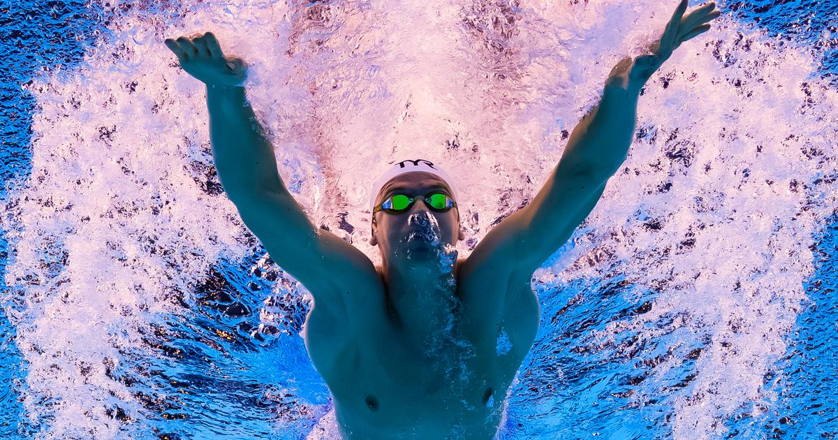 Départ, papillon, joie et record du monde... Léon Marchand, 13 photos d’une demi-finale légendaire