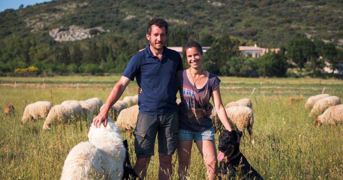 Pour la première fois, des vignerons remportent le prix national de l’innovation en agroécologie