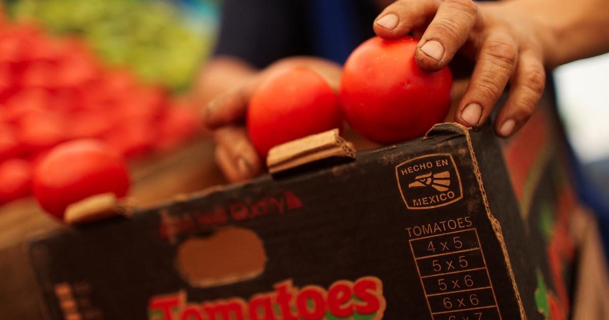 Les droits de douane imposés par les États-Unis sur le Mexique resteront inchangés pour 90 jours, annonce Trump