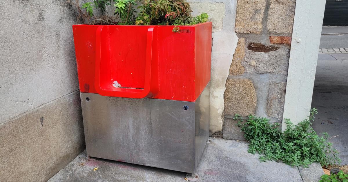 Nantes Urine Test Controversy: Women Discriminated?