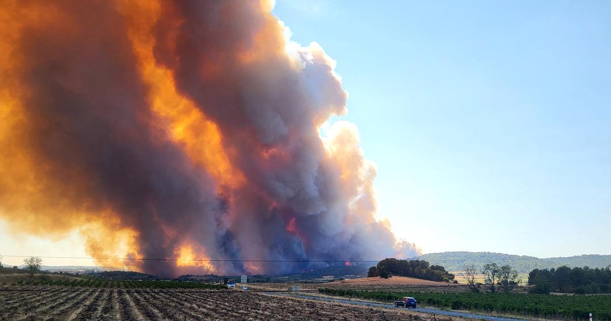 «Dans les Corbières , nous sommes maudits» : pour les vignerons, les mauvaises années s’accumulent