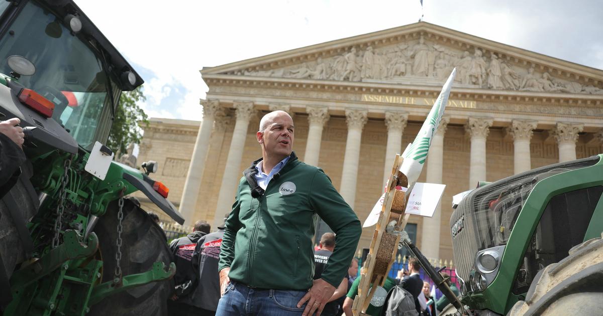«Sans néonicotinoïdes, je vais devoir arrêter la production de tomates» : l’inquiétude des agriculteurs après la censure du Conseil constitutionnel