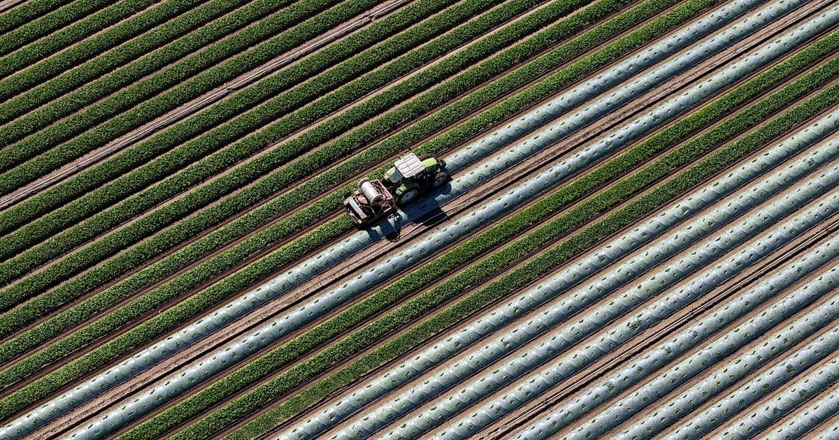 La loi Duplomb, ou lâ€™Ã©ternel conflit entre le citoyen et le consommateur
