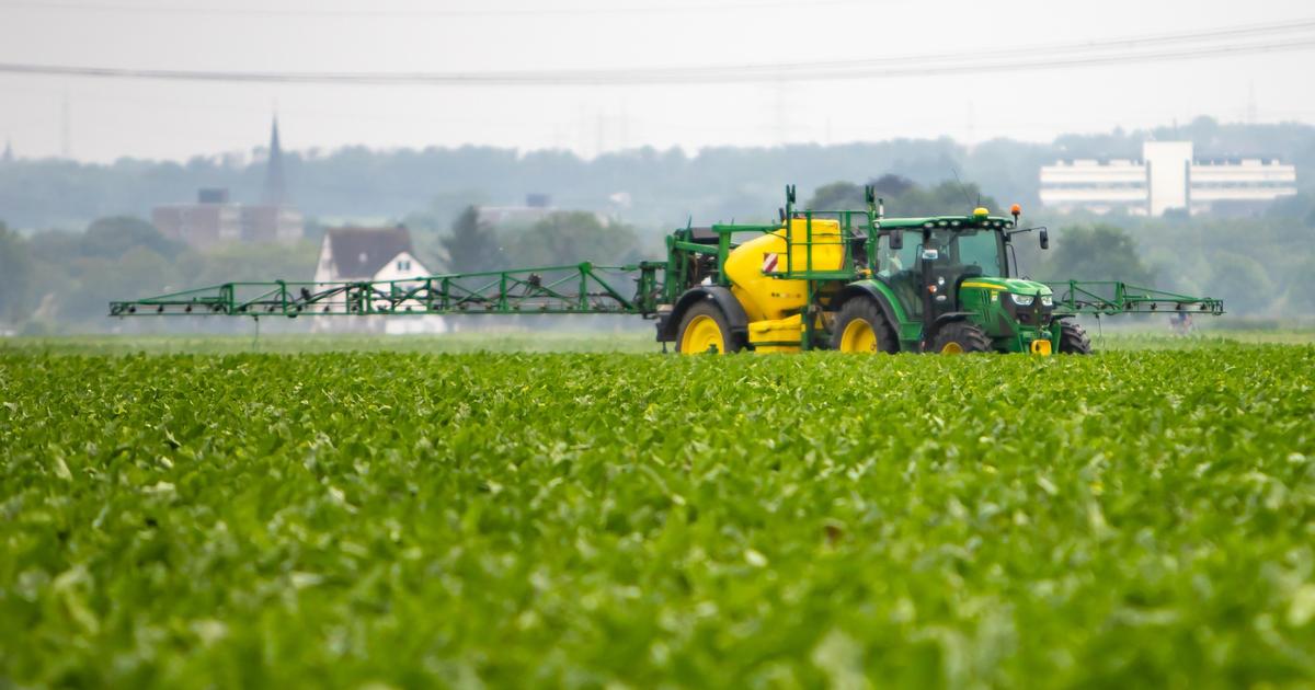 AcÃ©tamipride : quelle lÃ©gislation en Europe pour ce pesticide interdit en France ?