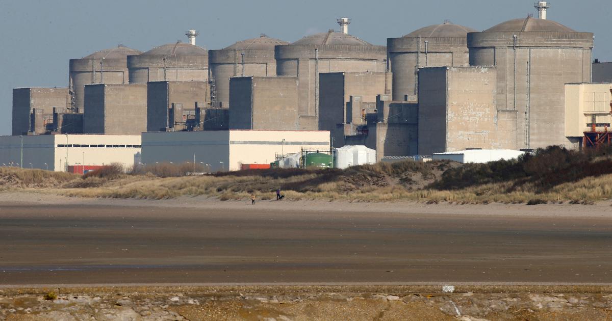 La centrale nuclÃ©aire de Gravelines paralysÃ©e par une invasion de mÃ©duses