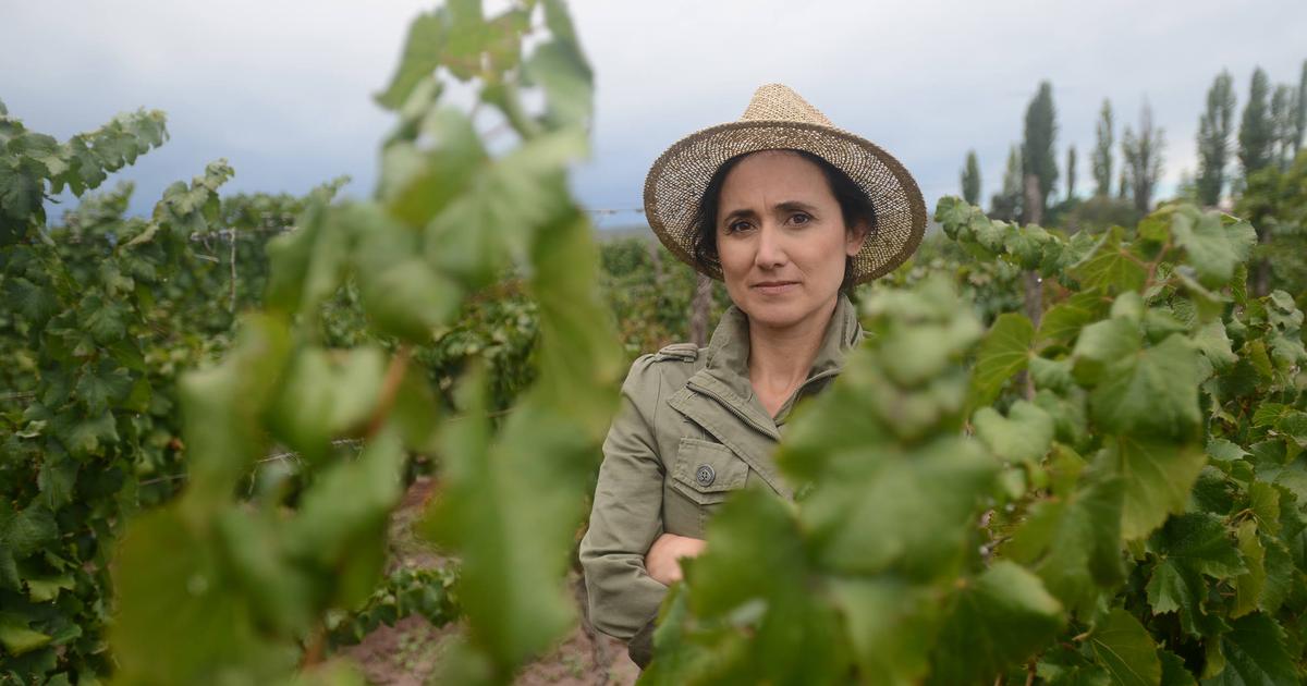 «Nous avons été choisis comme lieu d’expérimentation» : et si le futur du pinot noir s’écrivait en Argentine ?