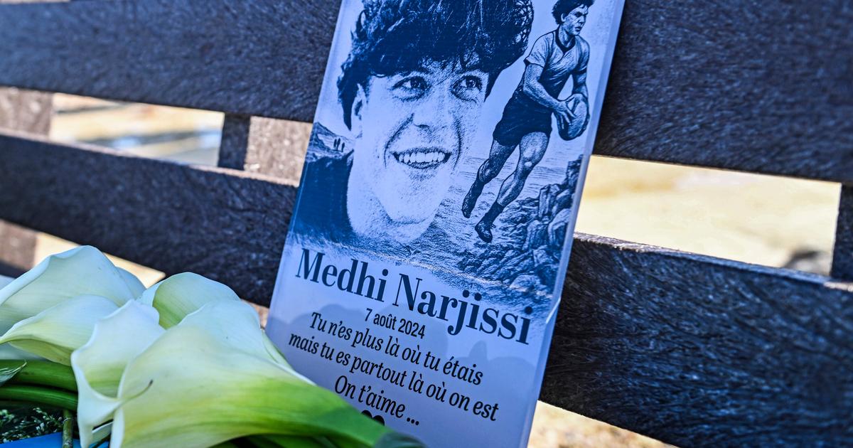 Disparition de Medhi Narjissi : Â«Elle a interpellÃ© les encadrantsÂ», un nouveau...