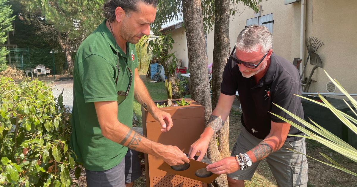 ConÃ§us prÃ¨s de Bordeaux, ces piÃ¨ges Ã  moustique deviendront-ils la solution contre...