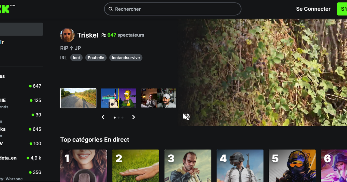 Violence, sexe et jeux dâ€™argent : Kick, la sulfureuse plateforme au cÅ“ur de la mort du...