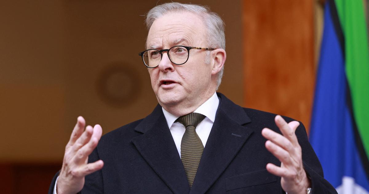 Lilliebass leaked onlyfans Good option for lsc if avail at