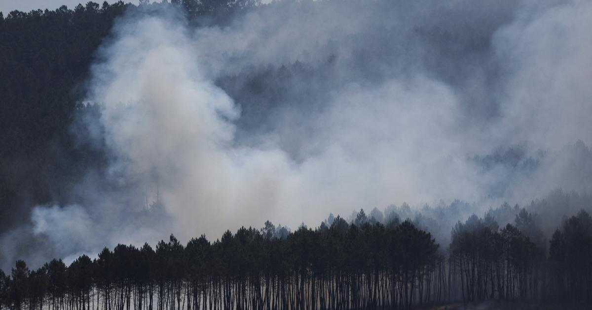 Incendies : avec plus d’un million d’hectares brûlés dans l’UE, le record datant de 2017 est battu