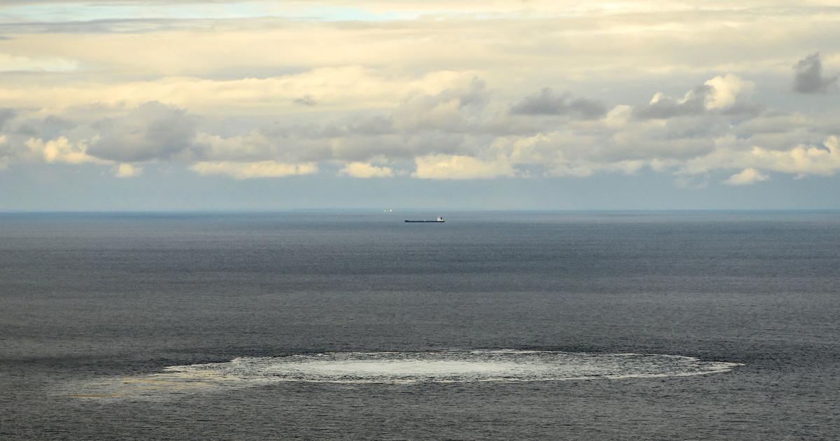 Sabotage du gazoduc Nord Stream : lâ€™interpellation dâ€™un Ukrainien embarrasse les...