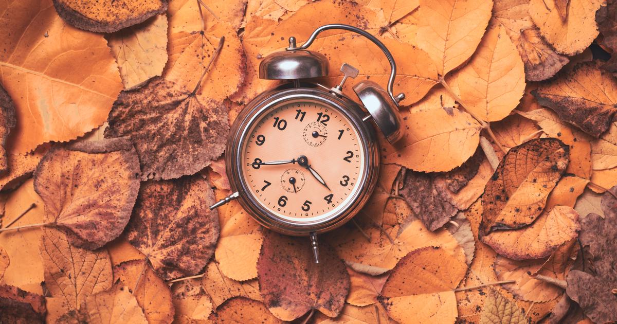 なぜ今年の早い時期に木の葉がそんなにあるのですか？