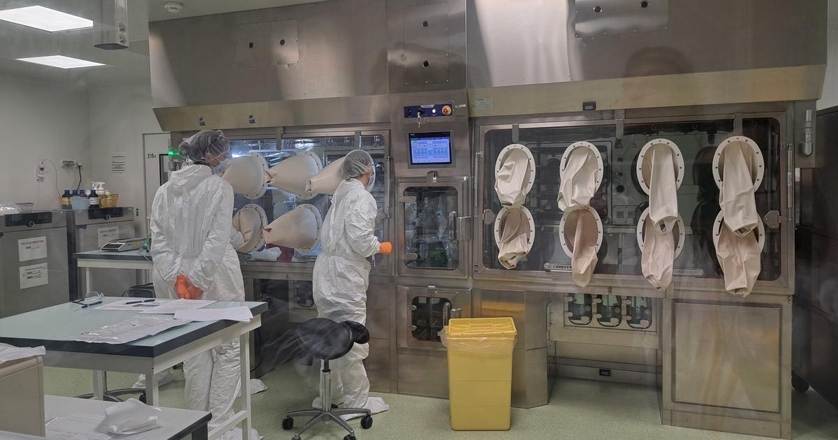 Avec son vaccin contre le cancer de la tête et du cou, la biotech française Transgene veut défier Moderna