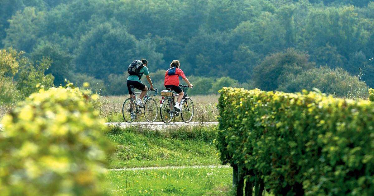 «On est beaucoup plus libre ici» : autrefois connu pour son «petit blanc pour les huîtres», l’Entre-Deux-Mers fait sa révolution