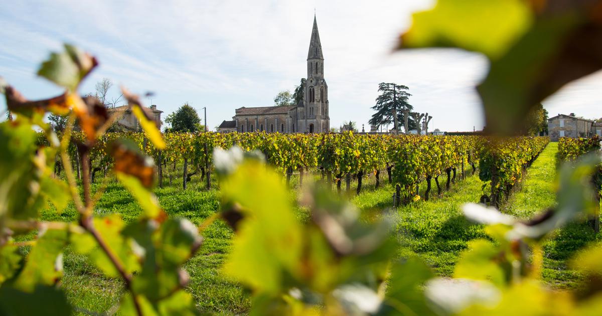 «Nous devons cesser de vivre dans le déni» : Château Lafleur, domaine mythique à Bordeaux, quitte l’appellation Pomerol