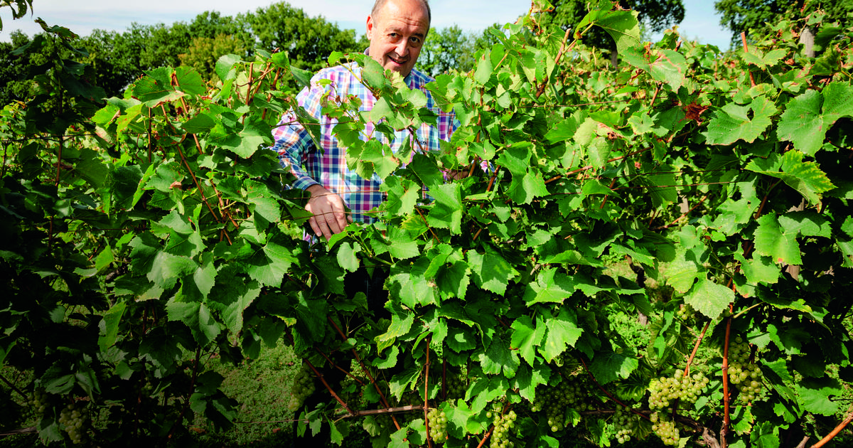 Des terroirs exceptionnels: le retour en force des vins d’Île-de-France