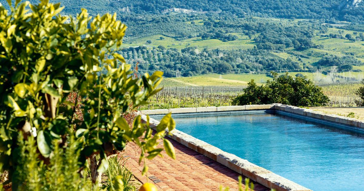 En Corse, un nouvel hôtel refuge des amateurs de vin et de luxe authentique