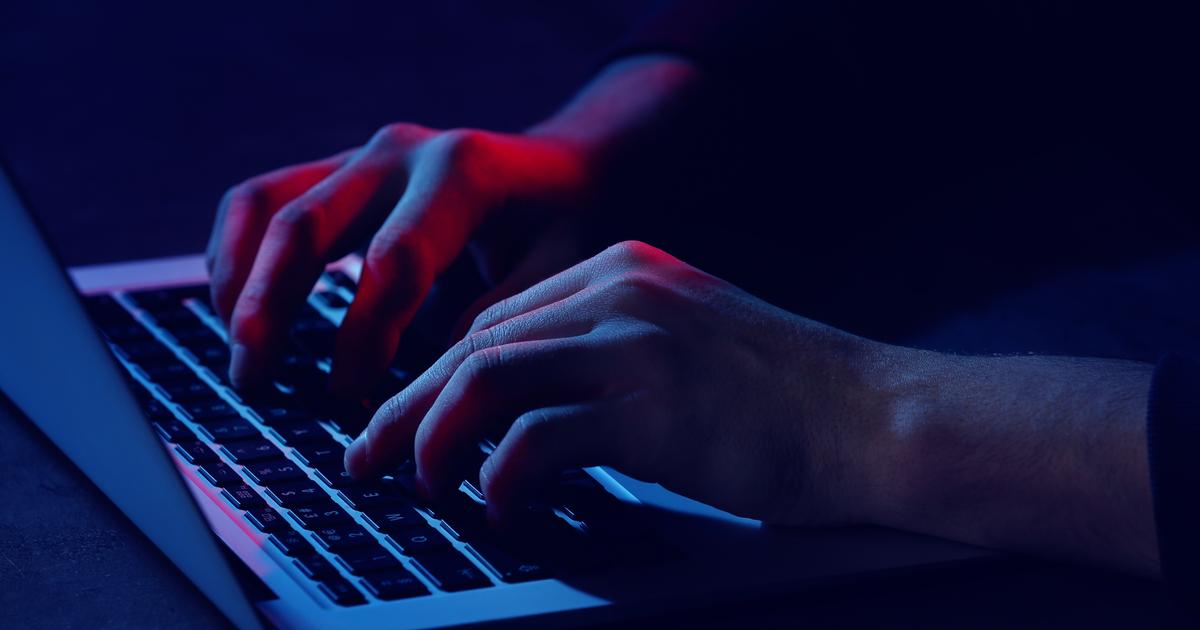 Â«Es-tu coquine?Â» : Bounty, le successeur de Coco oÃ¹ sÃ©vissaient pÃ©docriminels et...