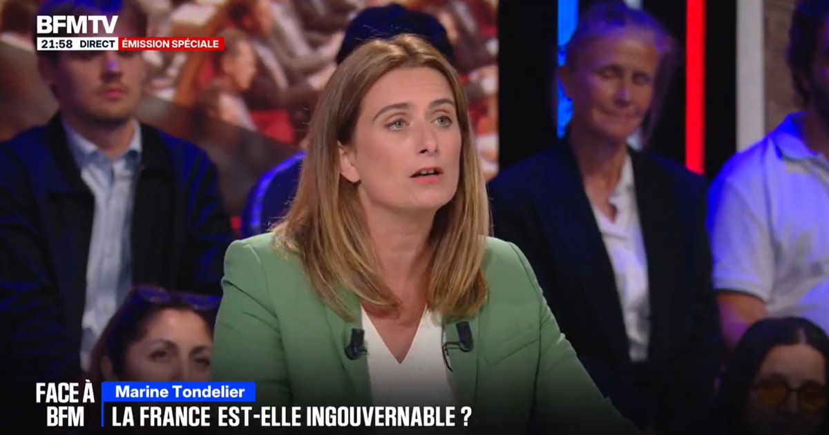 Vote de confiance : pour Tondelier, Bayrou Â«est en train de faire une tournÃ©e dâ€™adieu...
