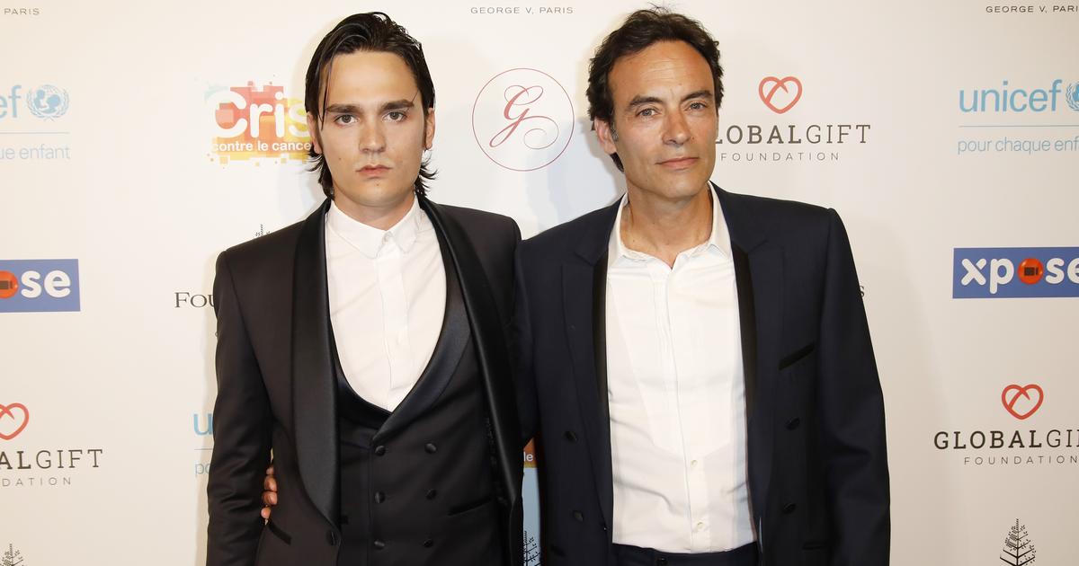Héritage d’Alain Delon : cette autre affaire pourrait encore un peu plus fracturer la fratrie