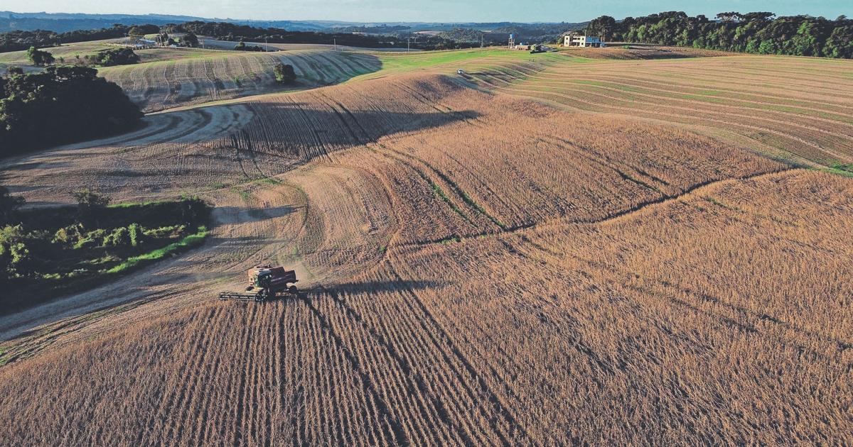 «C’est un passage en force» : les agriculteurs français peu convaincus par l’accord final avec le Mercosur