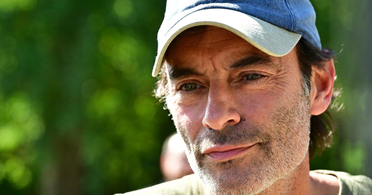 Alain Delon : en pleine guerre au sujet de l’héritage, son fils Anthony face à une autre mauvaise nouvelle