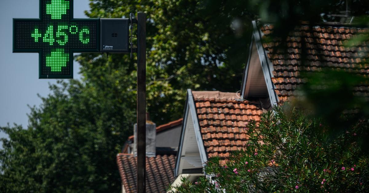 Les Ã©pisodes de canicule de lâ€™Ã©tÃ© 2025 nâ€™ont pas eu dâ€™impact...