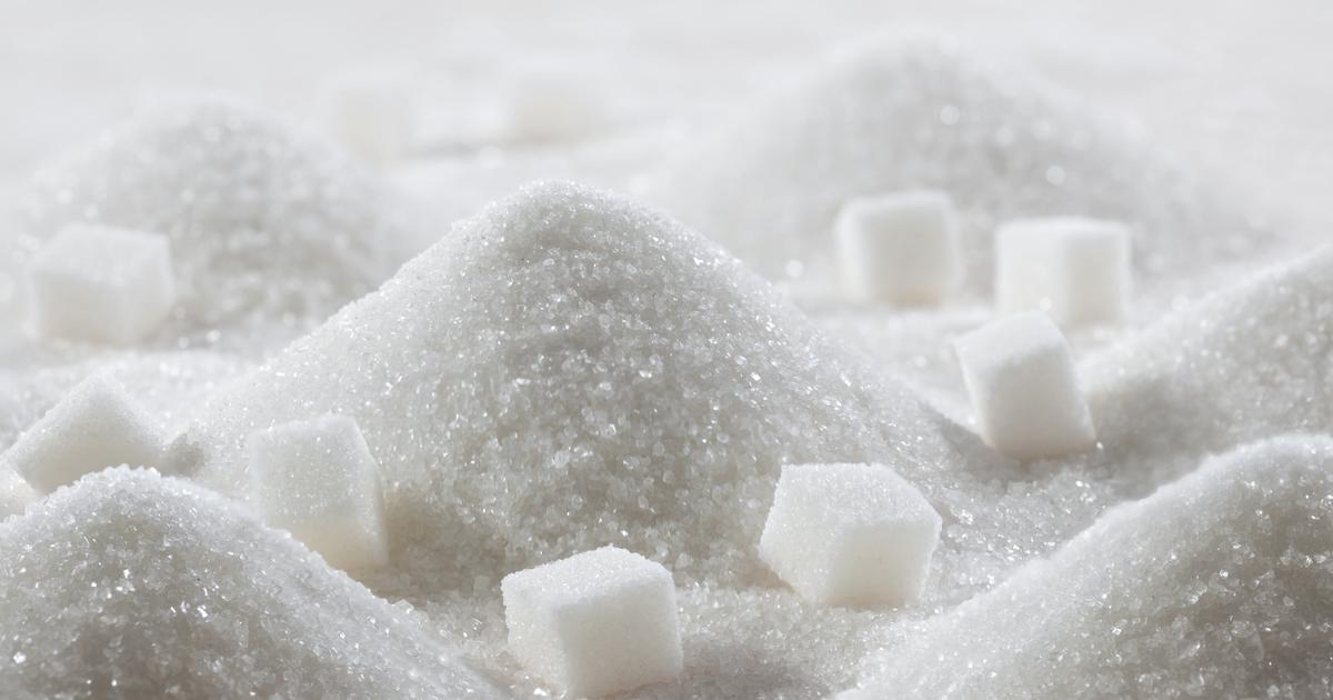 Pourquoi le réchauffement climatique pourrait faire exploser notre consommation de sucres