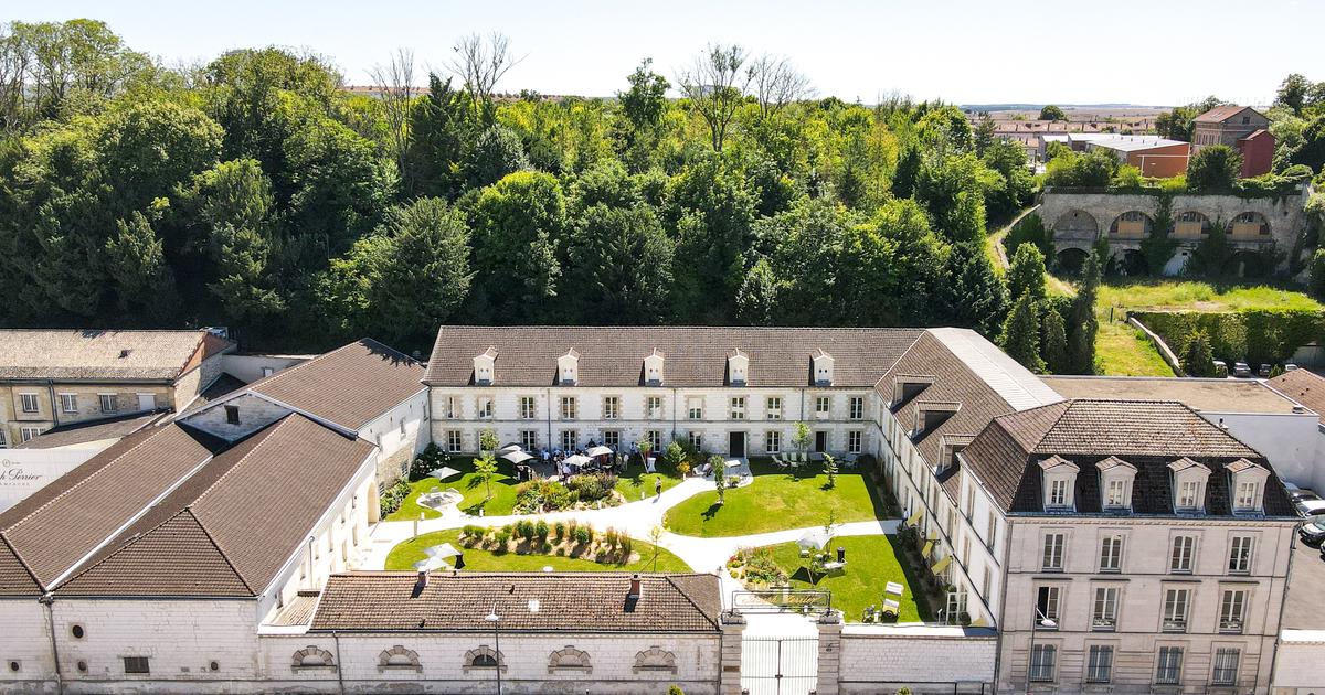 «La Champagne a beaucoup évolué et continue à revoir ses pratiques» : l’avenir du champagne par la bicentenaire Joseph Perrier