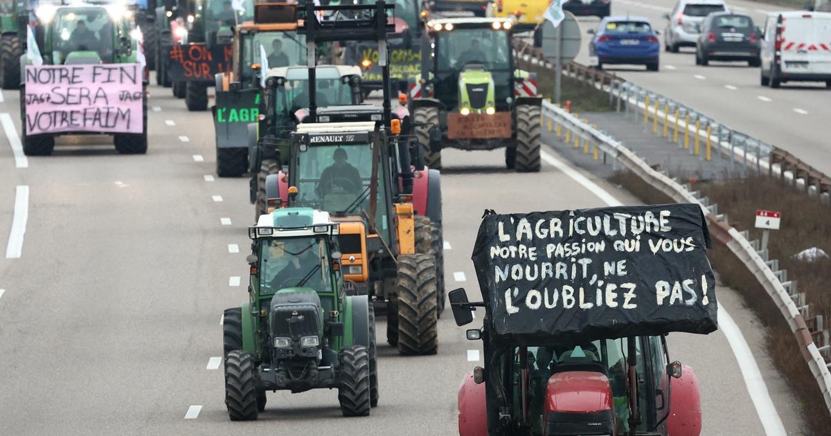 La FNSEA appelle à une «grande journée d’action» des agriculteurs le 25 septembre