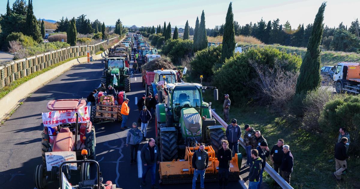 Mercosur, droits de douane américains, PAC… En colère, les agriculteurs préparent « une grande journée d’action »