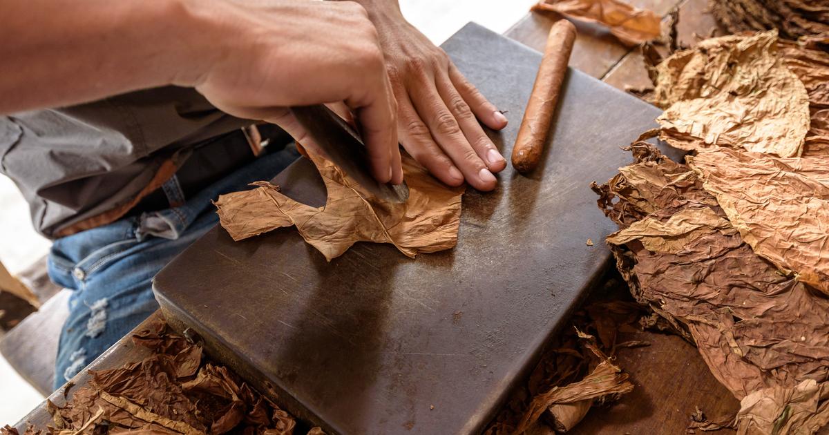 Ã€ Cuba, des prisonniers produisent des cigares destinÃ©s Ã  l'exportation, rÃ©vÃ¨le une...