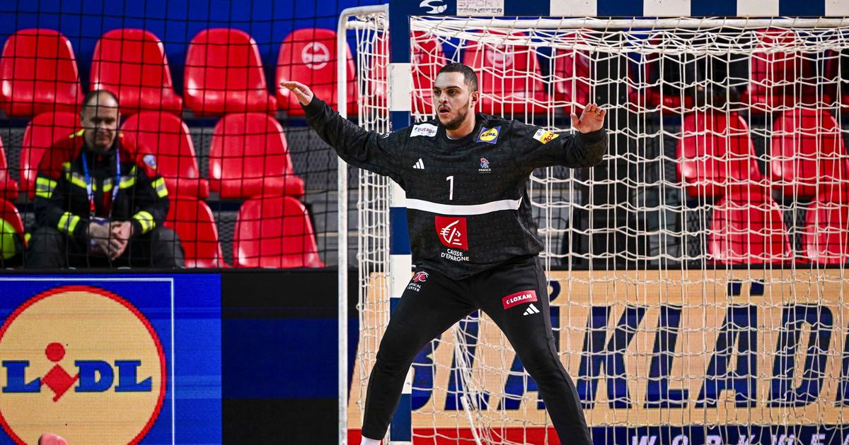 Handball : Â«Il a Ã©tÃ© confrontÃ© Ã  un tumulte trop lourd pour luiÂ»... Les raisons...