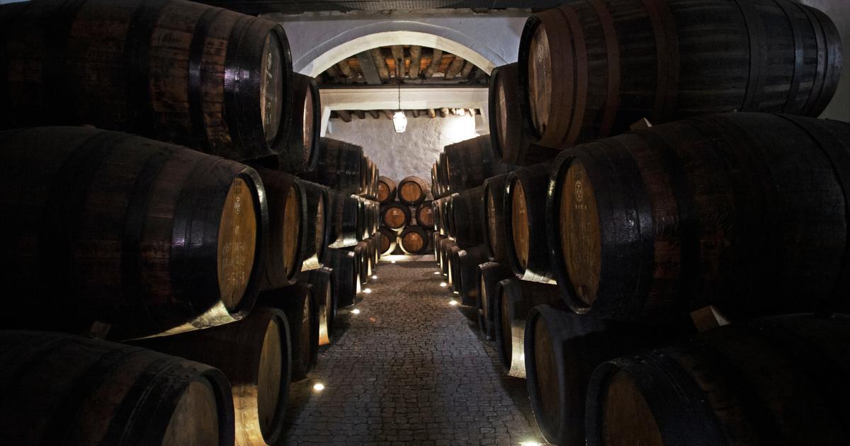 «Si ça continue comme ça, j’arrête» : dans le Bordelais, des vignerons désabusés et des chais qui débordent